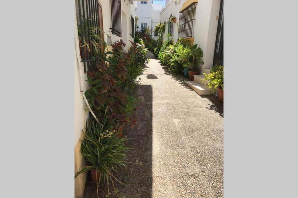 Apartamento con azotea privada para parejas y familias Conil De La Frontera Exterior foto